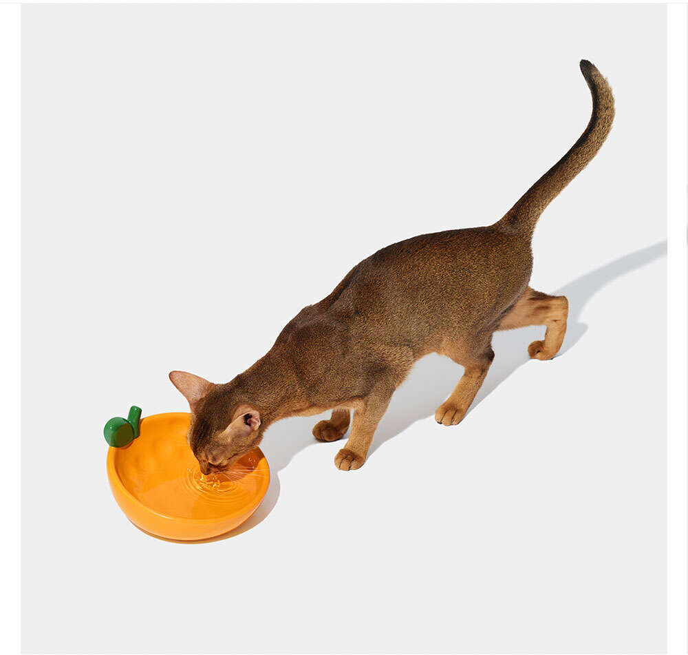 Comedouro de Cerâmica Vetreska Tangerina para Cães e Gatos - Tam. Único