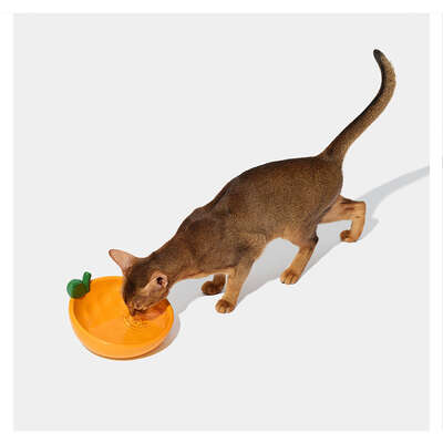 Comedouro de Cerâmica Vetreska Tangerina para Cães e Gatos