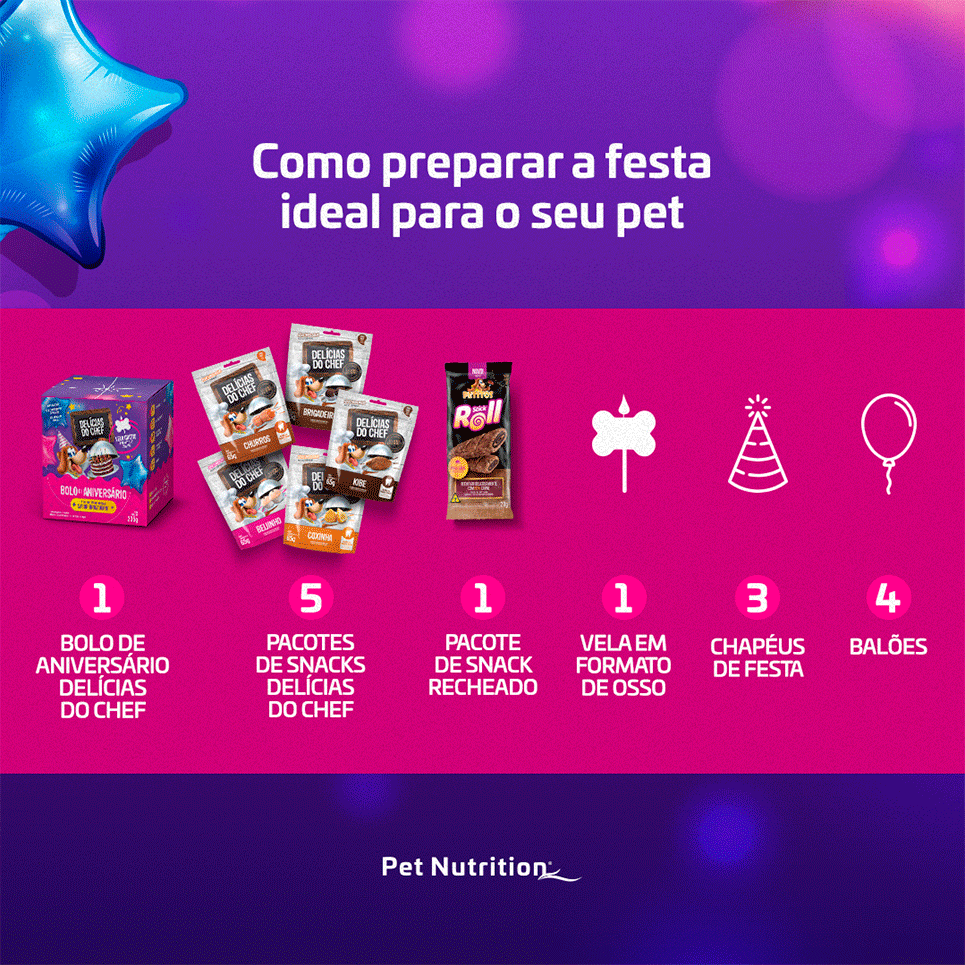 Kit Festa na Caixa Delícias do Chef para Cães - 580 g