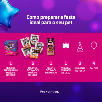 Kit Festa na Caixa Delícias do Chef para Cães