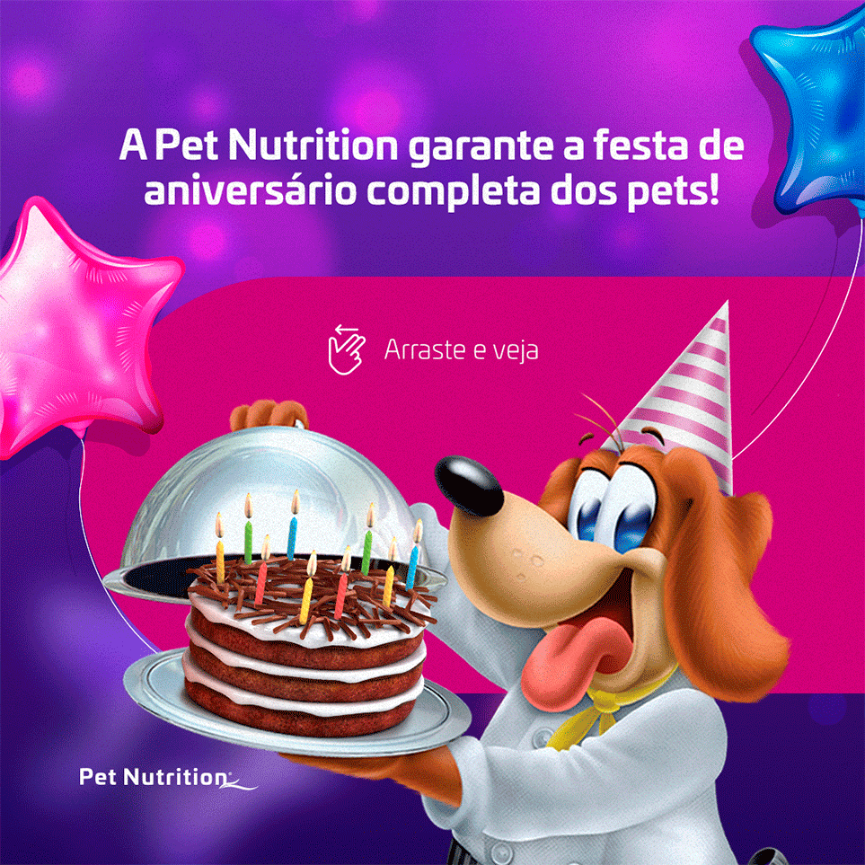Kit Festa na Caixa Delícias do Chef para Cães - 580 g
