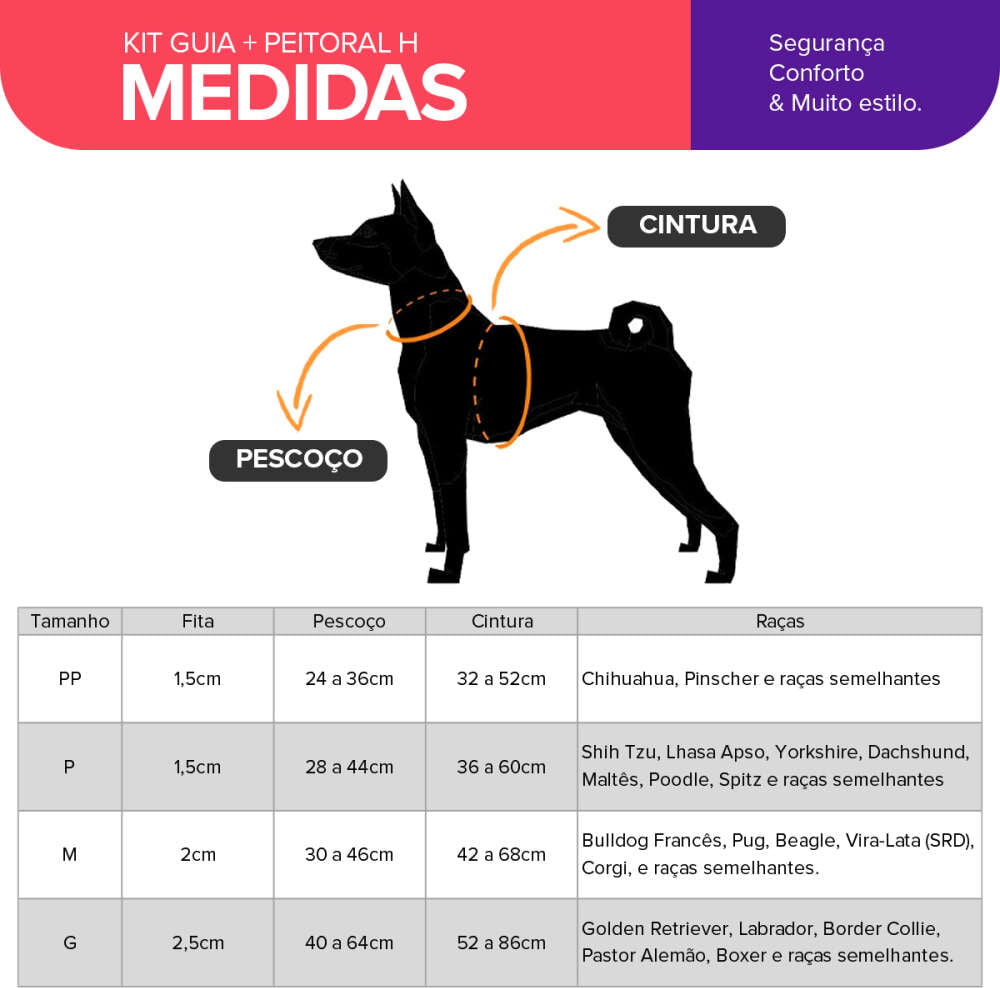 Kit Guia + Peitoral H Basic Pet Verde e Azul Lake para Cães - Tam. M