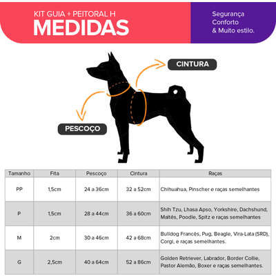 Kit Guia + Peitoral H Basic Pet Verde e Azul Lake para Cães_