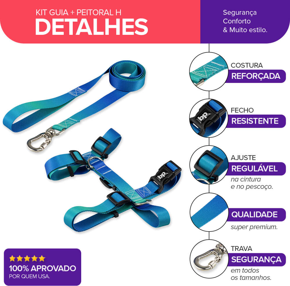 Kit Guia + Peitoral H Basic Pet Verde e Azul Lake para Cães - Tam. M