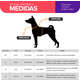 Kit Guia + Peitoral H Basic Pet Roxo e Azul Lily para Cães_