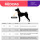 Coleira Basic Pet para Cachorro Caribe