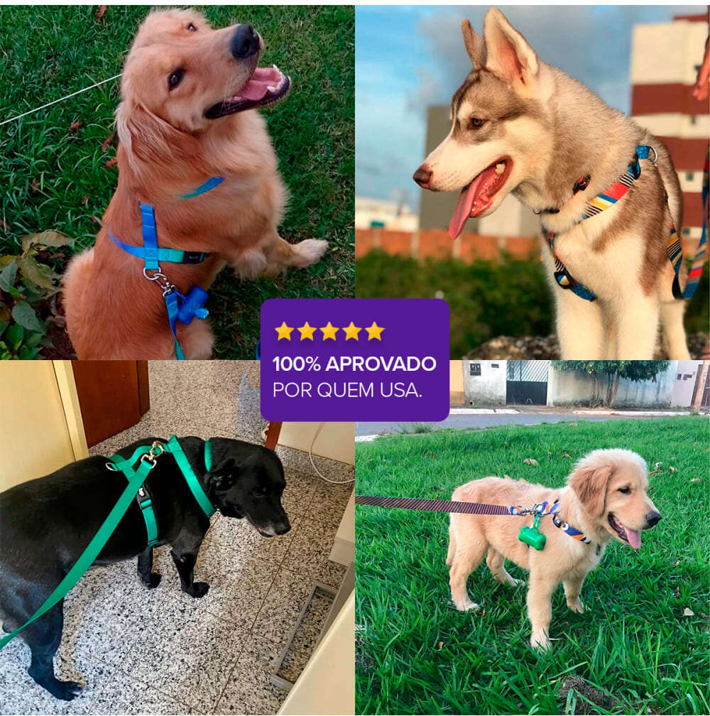 Coleira Basic Pet para Cachorro Caribe - Tam. PP