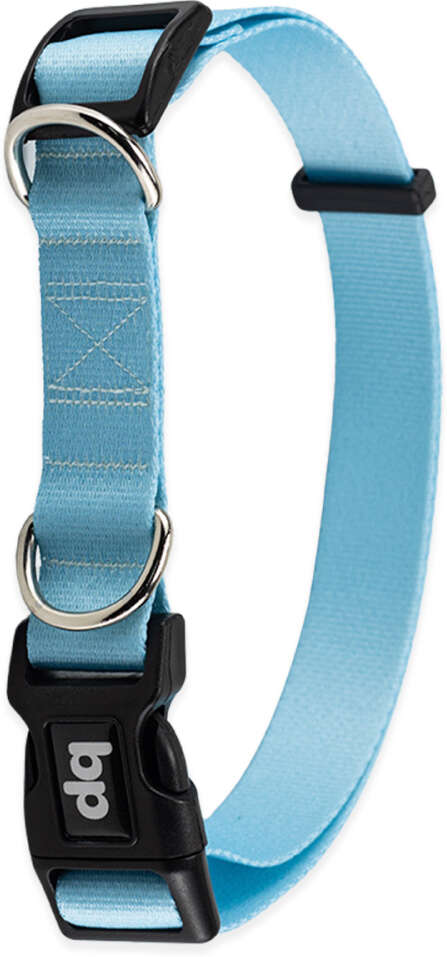 Coleira Basic Pet para Cachorro Caribe - Tam. PP