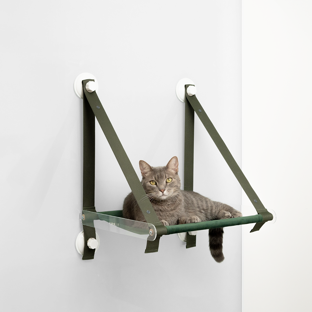 Cama de Janela Woolie Loft Verde para Gatos - Standard