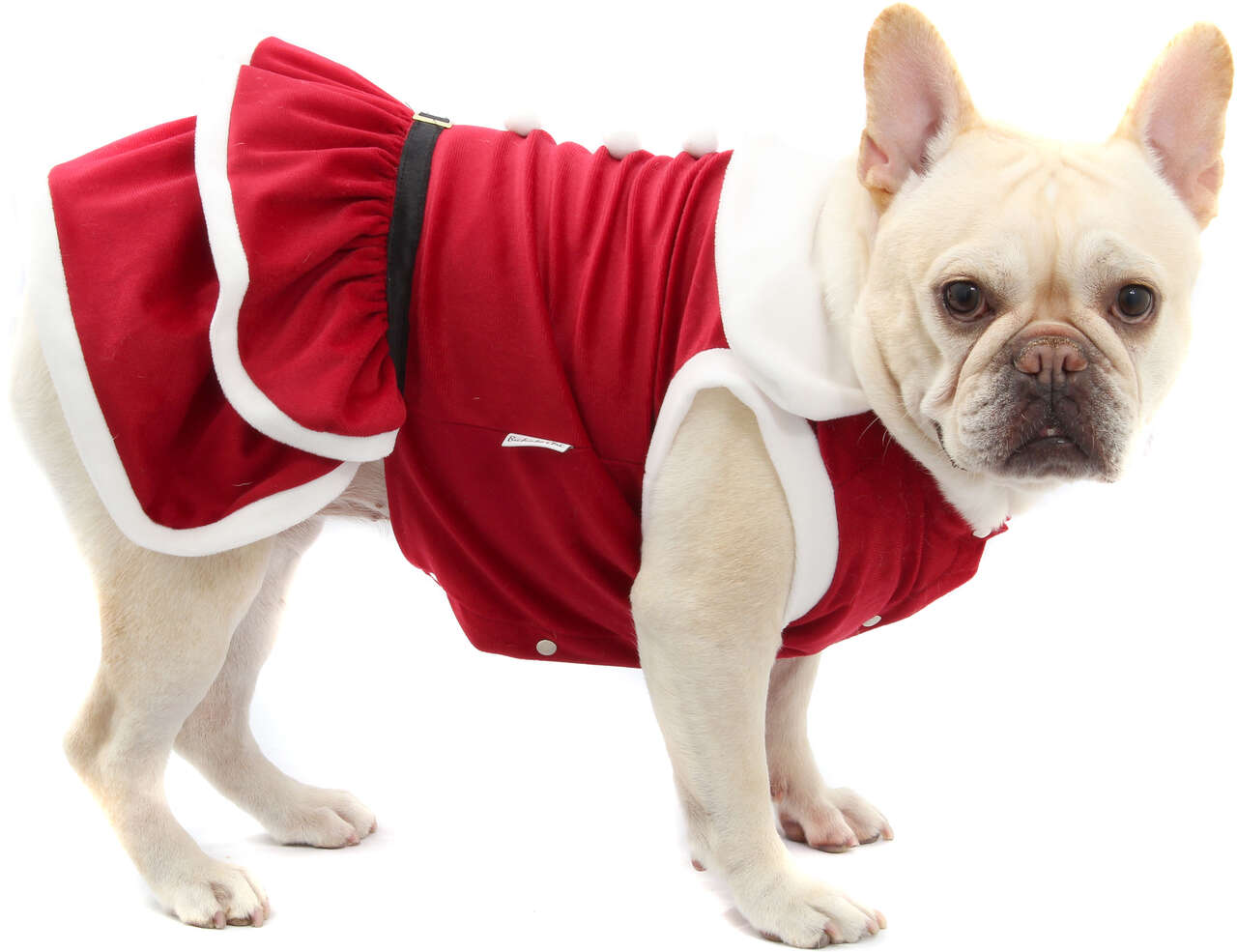 Vestido de Natal Bichinho Chic para Cães e Gatos Vermelho - Tam. 07