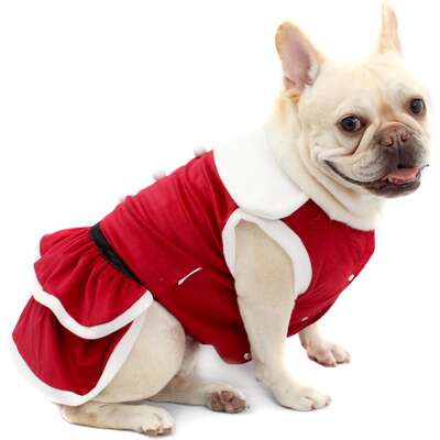 Vestido de Natal Bichinho Chic para Cães e Gatos Vermelho