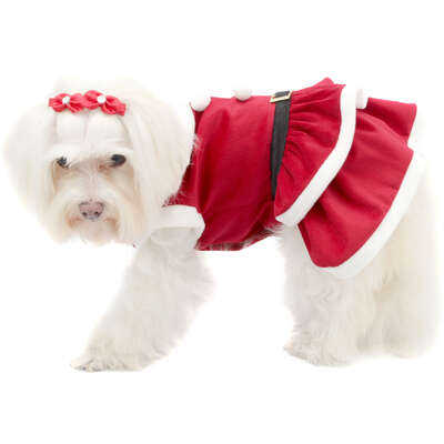 Vestido de Natal Bichinho Chic para Cães e Gatos Vermelho