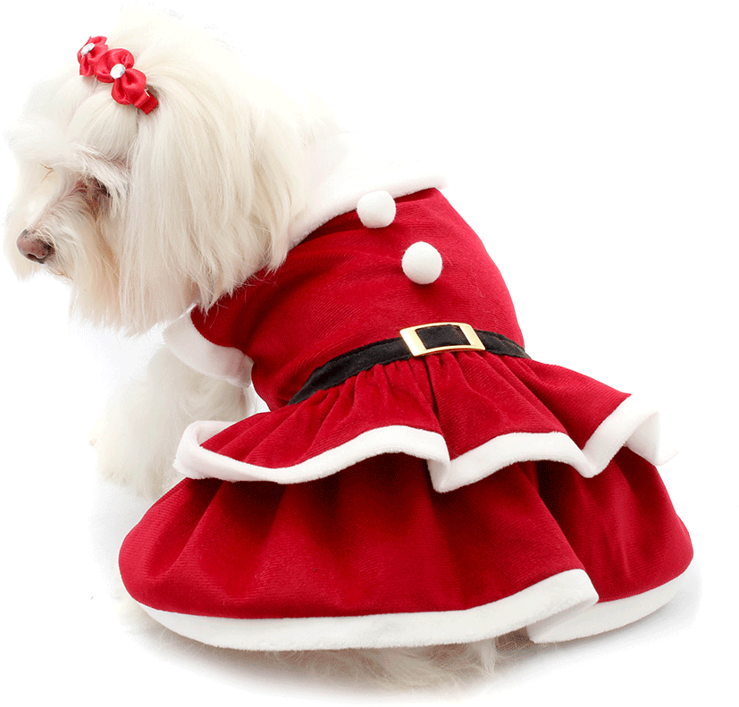Vestido de Natal Bichinho Chic para Cães e Gatos Vermelho - Tam. 07