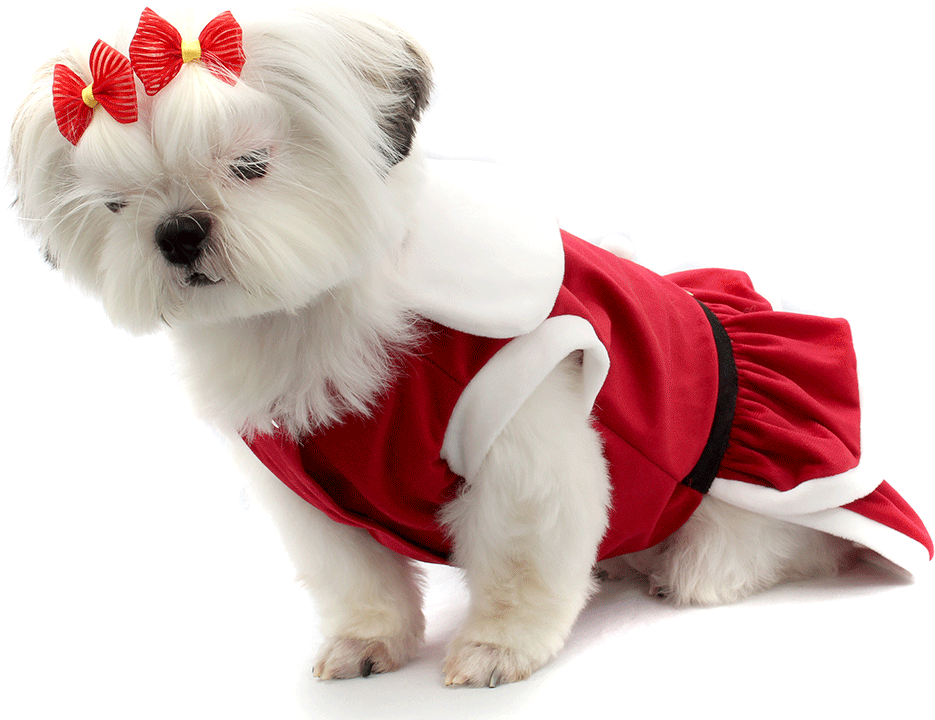 Vestido de Natal Bichinho Chic para Cães e Gatos Vermelho - Tam. 07