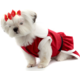 Vestido de Natal Bichinho Chic para Cães e Gatos Vermelho