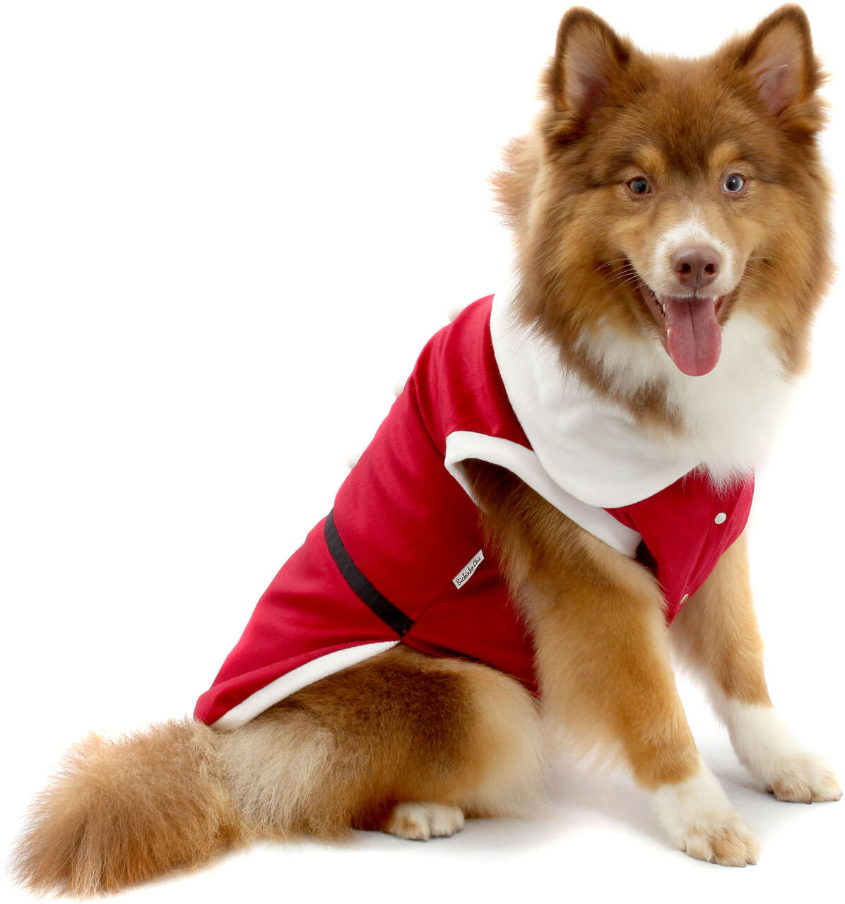 Camiseta de Natal Bichinho Chic para Cães e Gatos Vermelho - Tam. 06