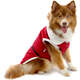 Camiseta de Natal Bichinho Chic para Cães e Gatos Vermelho