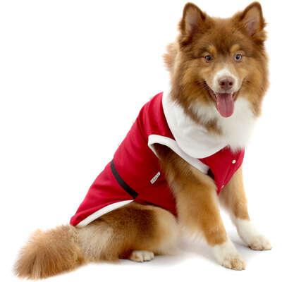 Camiseta de Natal Bichinho Chic para Cães e Gatos Vermelho
