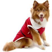 Camiseta de Natal Bichinho Chic para Cães e Gatos Vermelho - Tam. 06