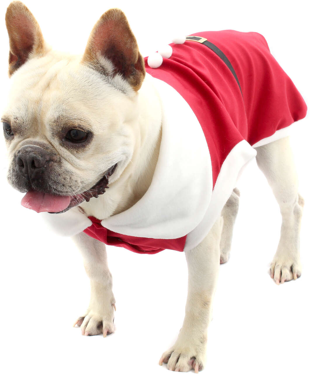 Camiseta de Natal Bichinho Chic para Cães e Gatos Vermelho - Tam. 06