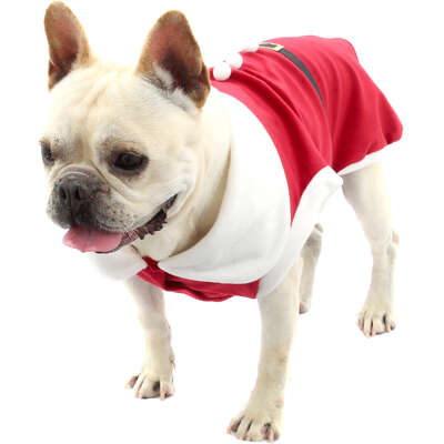 Camiseta de Natal Bichinho Chic para Cães e Gatos Vermelho