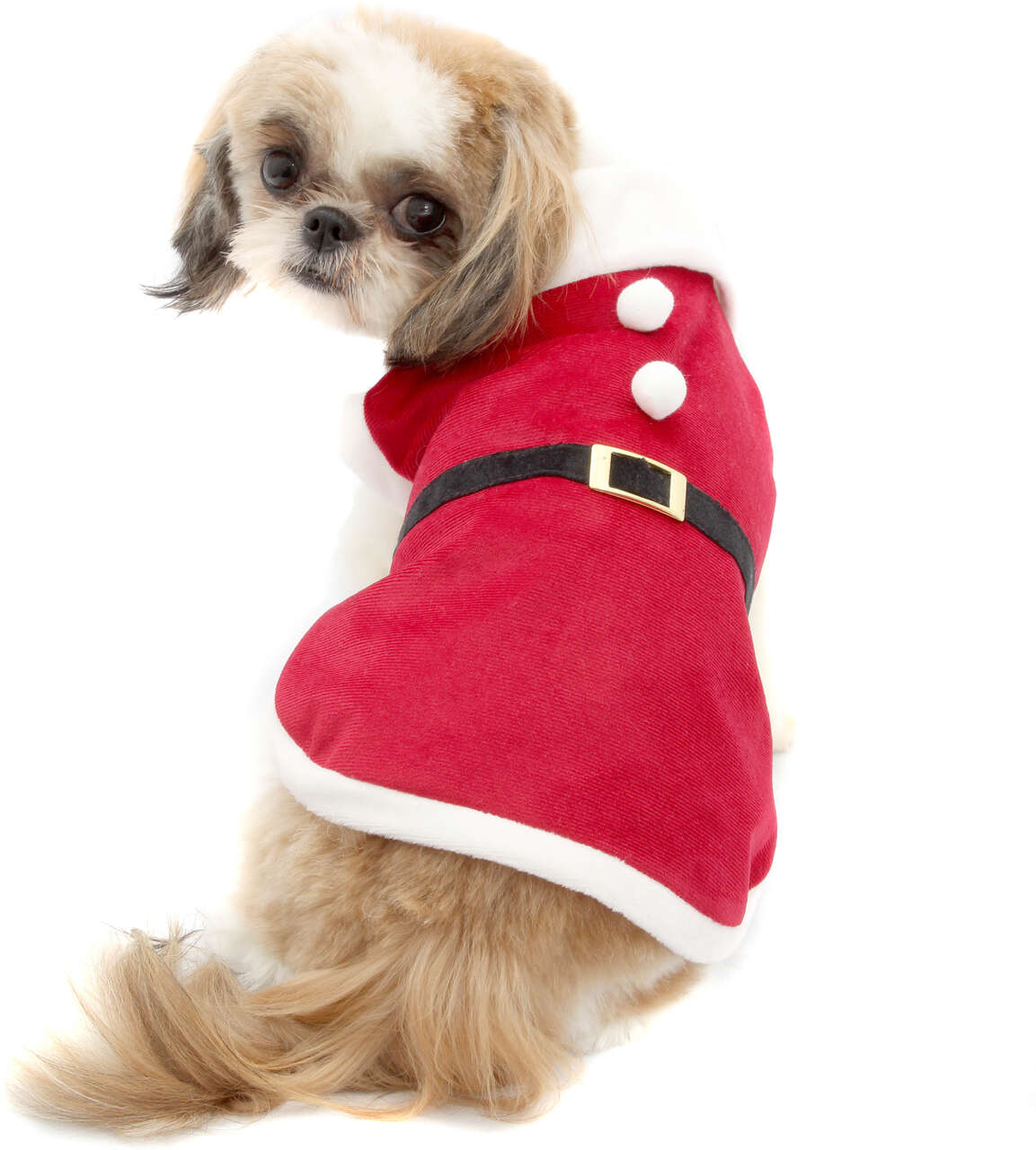Camiseta de Natal Bichinho Chic para Cães e Gatos Vermelho - Tam. 06