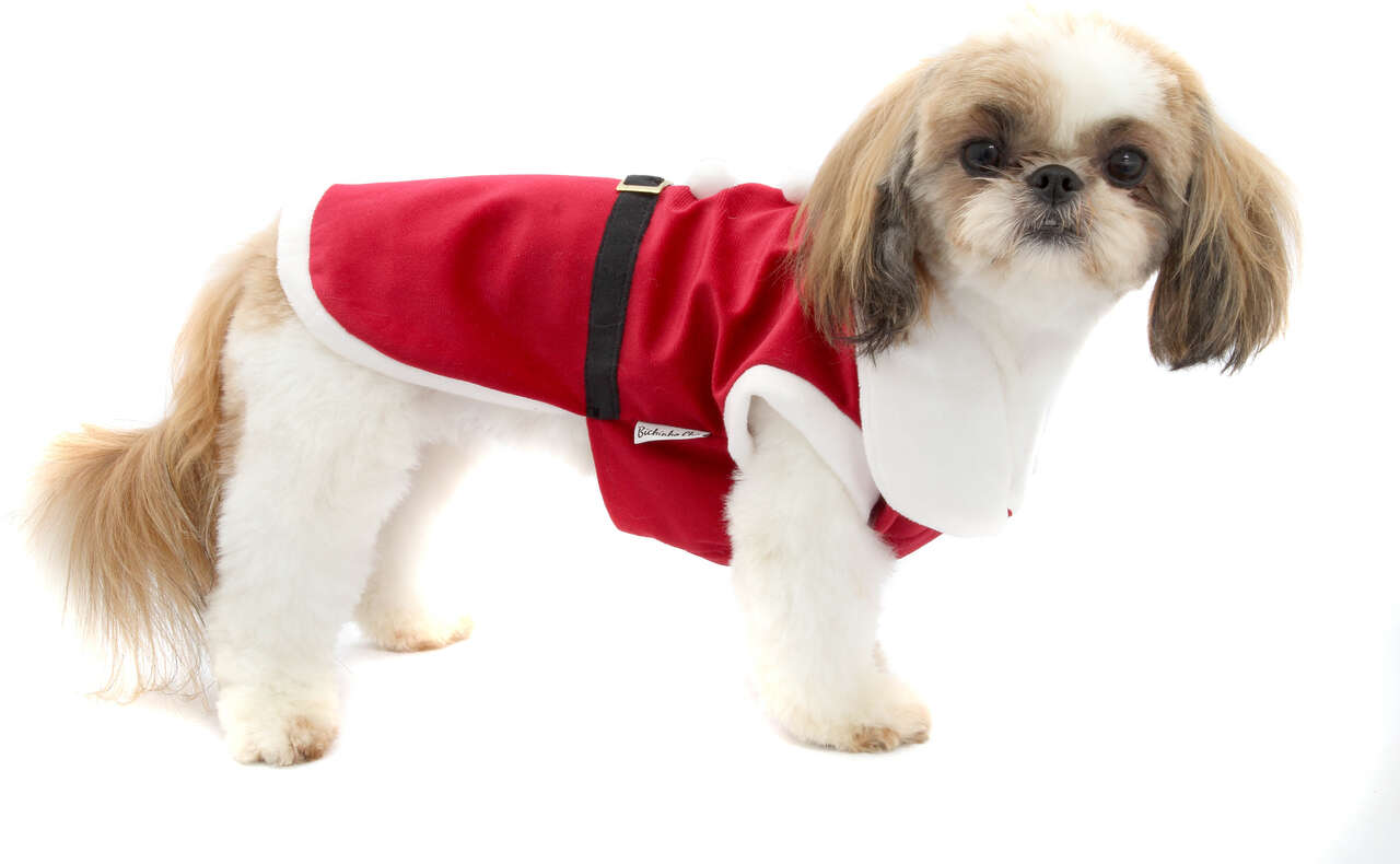 Camiseta de Natal Bichinho Chic para Cães e Gatos Vermelho - Tam. 06