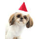 Gorro de Natal Bichicho Chic para Cães e Gatos Vermelho