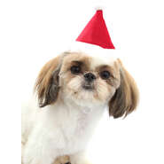 Gorro de Natal Bichicho Chic para Cães e Gatos Vermelho - Tam. G