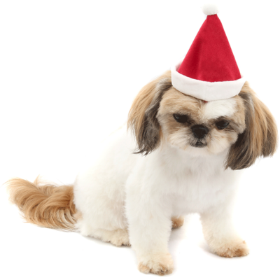 Gorro de Natal Bichicho Chic para Cães e Gatos Vermelho