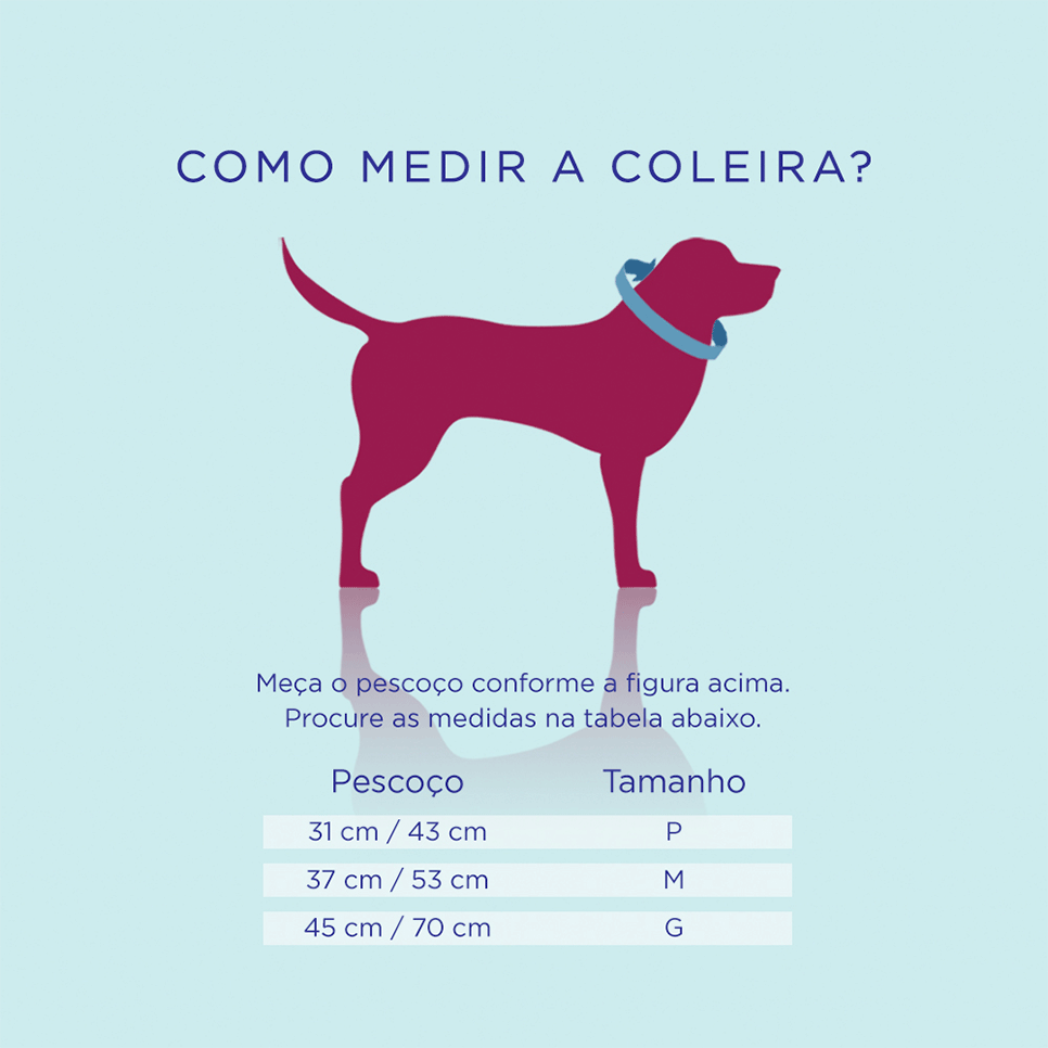 Coleira We Are Family Lila Lilás para Cães e Gatos - Tam. M