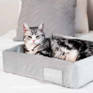“Cama Spot Woolie Cinza para Gatos”