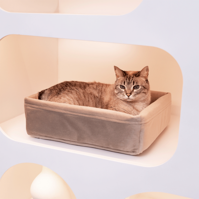 Cama Spot Woolie Bege para Gatos