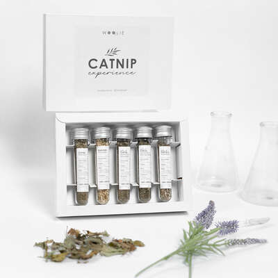 Brinquedo Catnip Experience Woolie Gran Menu Premium