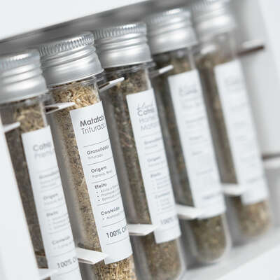 Brinquedo Catnip Experience Woolie Gran Menu Super Premium”