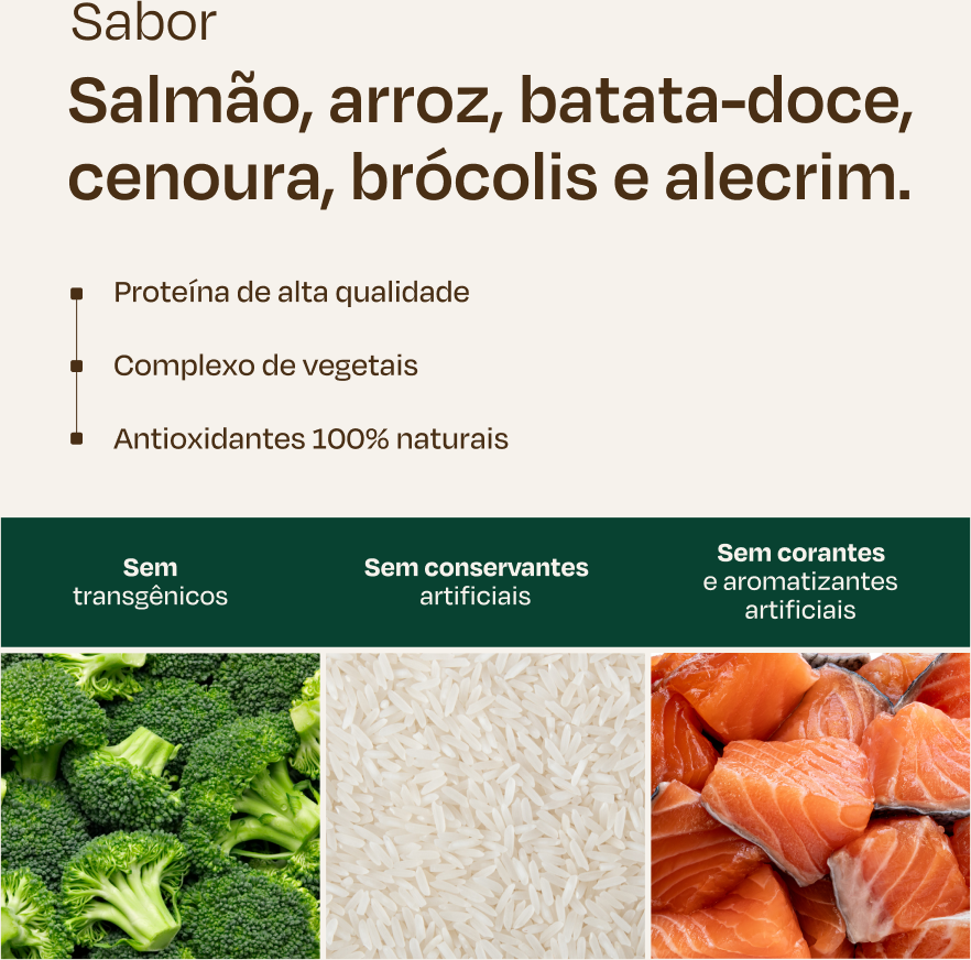 Ração Seca Nutrilus Natural Sabor Salmão e Arroz para Gatos Adultos - 10,1Kg