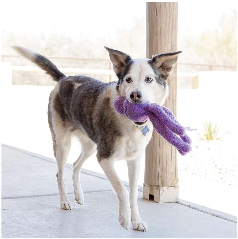 Brinquedo Pelúcia Kong Snugga Wubba Sortida para Cães - Tam. Único