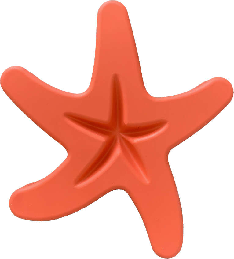 Comedouro Lento Meau Estrela do Mar Coral congelável para Cães e Gatos - Tam. Único