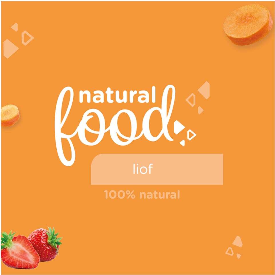 Ração Seca Doc.g Natural Food Liof Carne para Cães - 5Kg