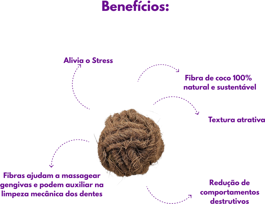 Brinquedo Sustentável Amicus Coconut Ball Marrom para Cães - Tam. Único