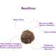 Brinquedo Sustentável Amicus Coconut Ball Marrom para Cães
