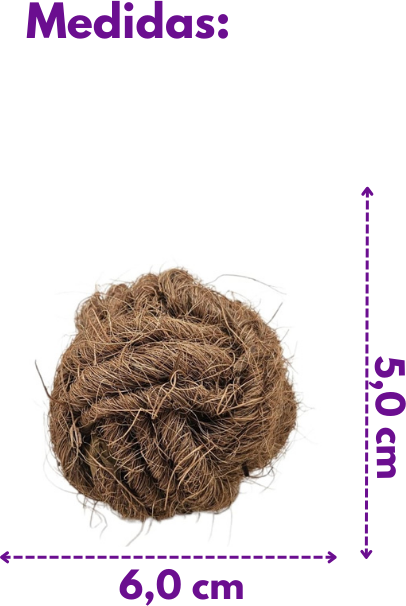 Brinquedo Sustentável Amicus Coconut Ball Marrom para Cães - Tam. Único