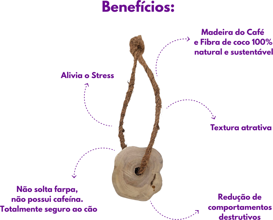 Brinquedo Sustentável Amicus Coconut Wood com Alça Marrom para Cães - Tam. Único