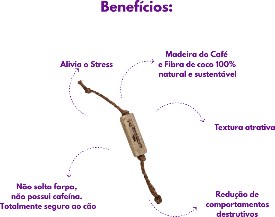 Brinquedo Sustentável Amicus Coconut Wood Bone Marrom para Cães - Tam. Único