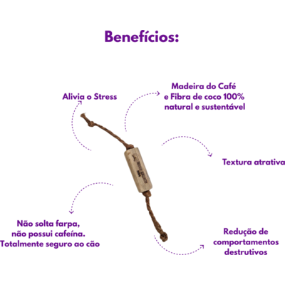 Brinquedo Sustentável Amicus Coconut Wood Bone Marrom para Cães