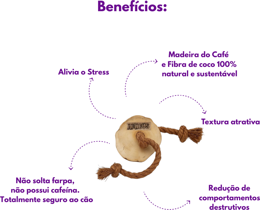 Brinquedo Sustentável Amicus Coconut Wood Disco Marrom para Cães - Tam. Único