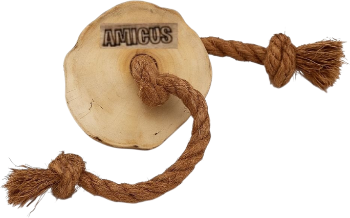 Brinquedo Sustentável Amicus Coconut Wood Disco Marrom para Cães - Tam. Único