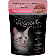 Ração Úmida Alinutri Receita Especial para Gatos Adultos Castrados Sabor Salmão - 70 g