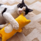 Brinquedo Pelúcia Gatton Cat Combat com Catnip Orgânico Amarelo para Gatos