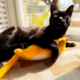 Brinquedo Pelúcia Gatton Cat Combat com Catnip Orgânico Amarelo para Gatos